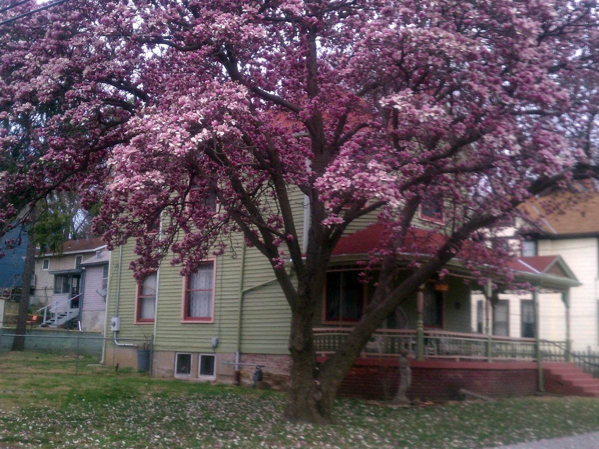 Spring Colors - Atchison Kansas