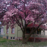 Spring Colors - Atchison Kansas